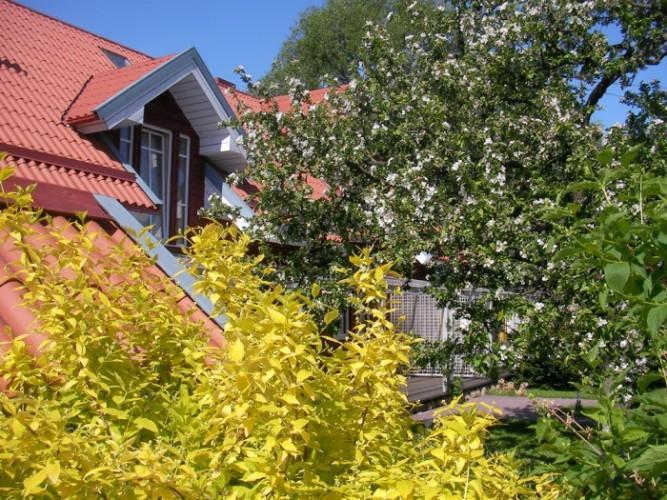 Apartamentai Obelyne Połąga Zewnętrze zdjęcie