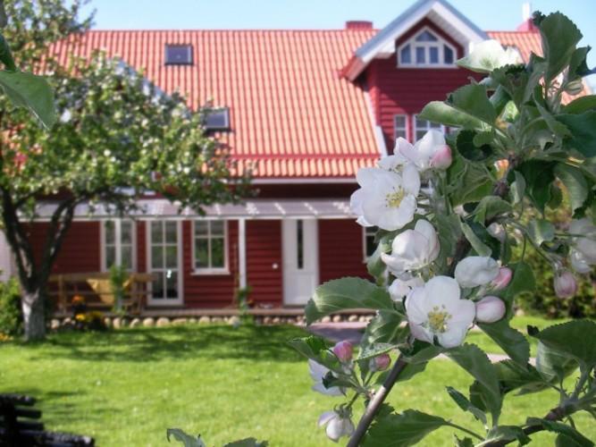 Apartamentai Obelyne Połąga Zewnętrze zdjęcie