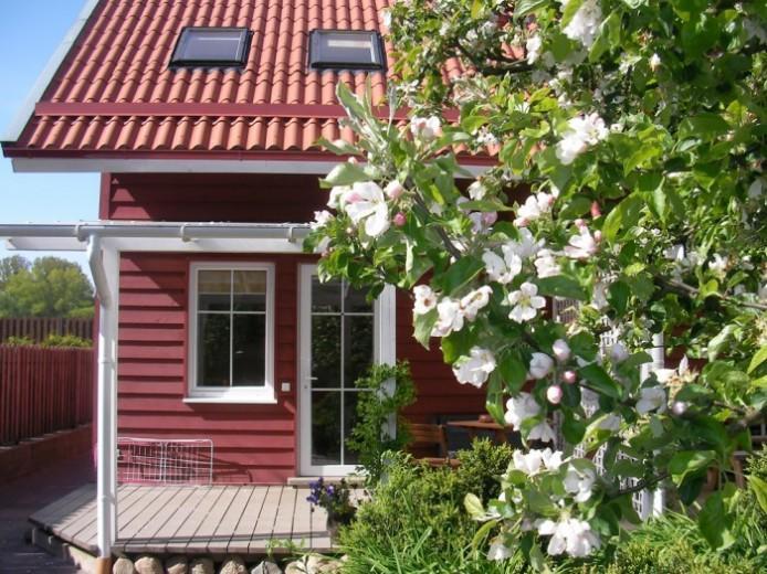 Apartamentai Obelyne Połąga Zewnętrze zdjęcie
