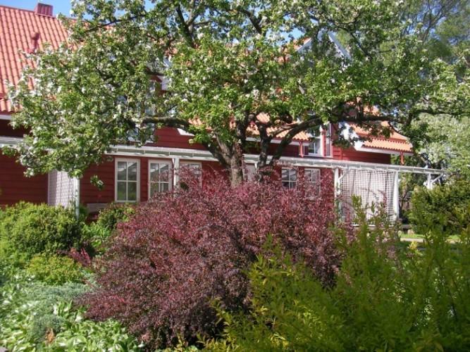 Apartamentai Obelyne Połąga Zewnętrze zdjęcie