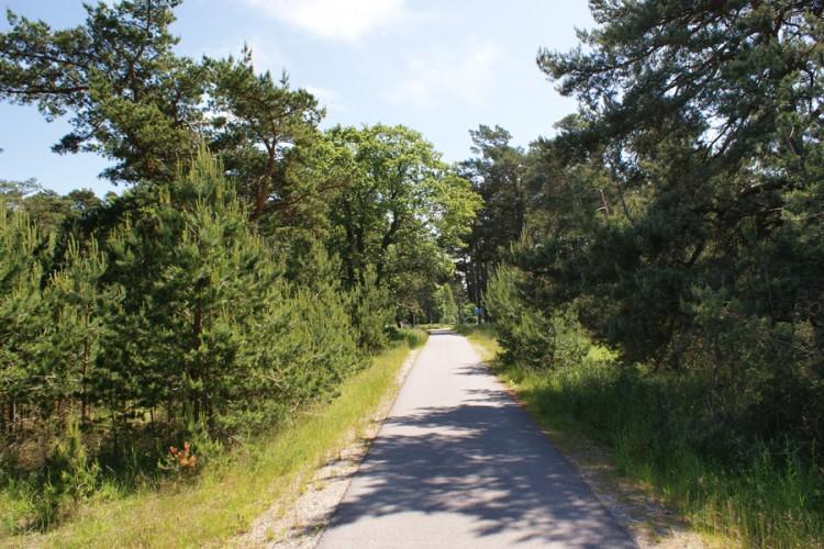 Apartamentai Obelyne Połąga Zewnętrze zdjęcie